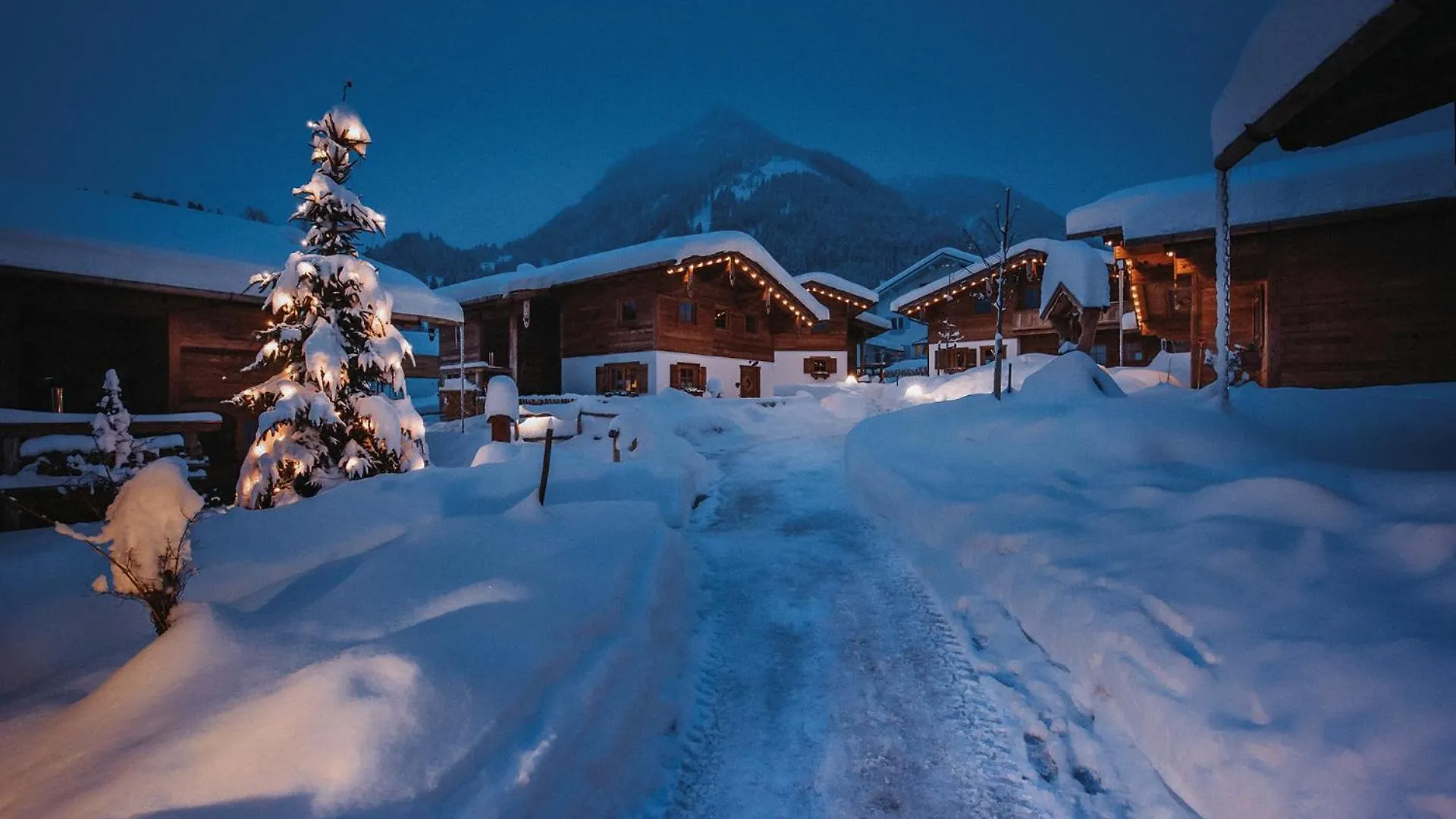 Alpzitt-Chalets Burgberg  Dağ evi