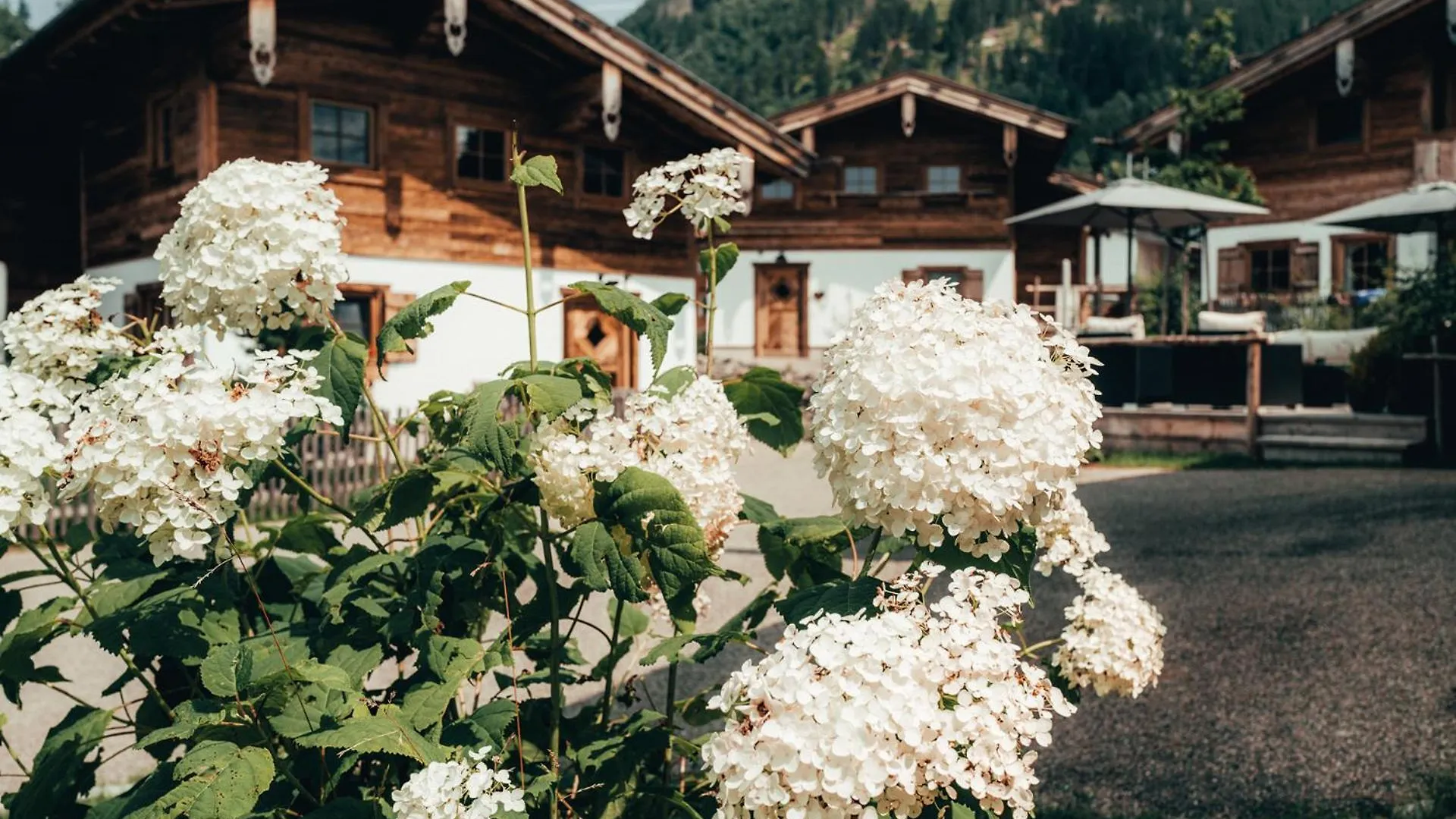 Alpzitt-Chalets Burgberg  0*, Burgberg (Bavaria) Germany